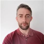 Profesor de inglés nativo ofrece clases particulares o online